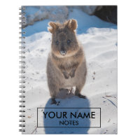 Personalised Quokka On The Beach