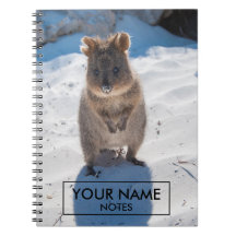 Personalised Quokka On The Beach