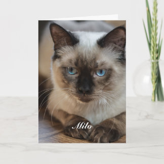 Personalised Ragdoll Cat Photo and Name Card