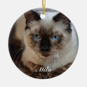 Personalised Ragdoll Cat Photo and Name Ceramic Ornament