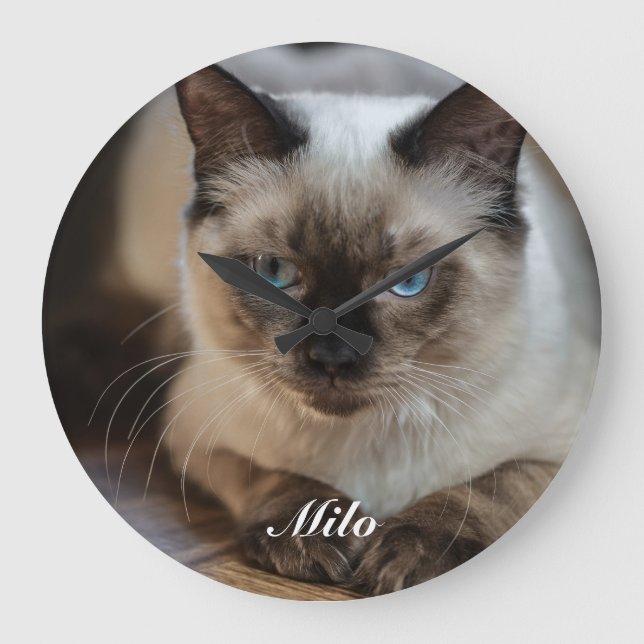 Personalised Ragdoll Cat Photo and Name Large Clock (Front)