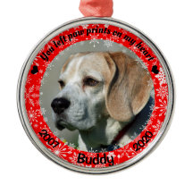 Personalised Red Dog Memorial
