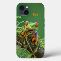 Personalised Red Eye Tree Frog on a branch