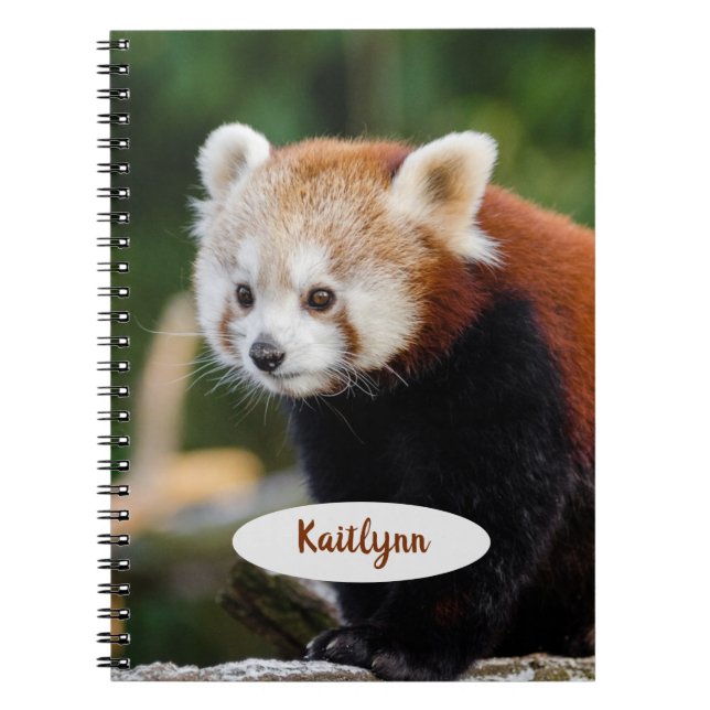 Personalised Red Panda Notebook (Front)