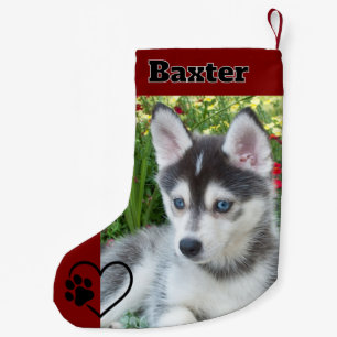 Personalised Red Pet Dog Photo Monogram Name Small Christmas Stocking