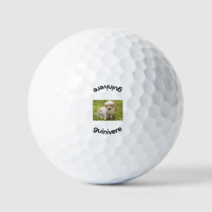 Personalised Replace Image Golf Balls