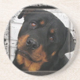 Personalised rottweiler coaster