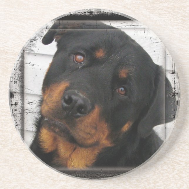 Personalised rottweiler coaster (Front)
