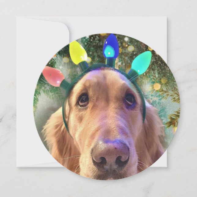 Personalised Round Golden Retriever Christmas Card (Front)
