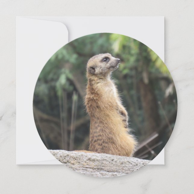 Personalised Round Meerkat Greeting Card (Front)