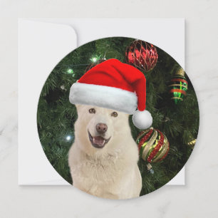 Personalised Round Santa Paws Husky Christmas Holiday Card