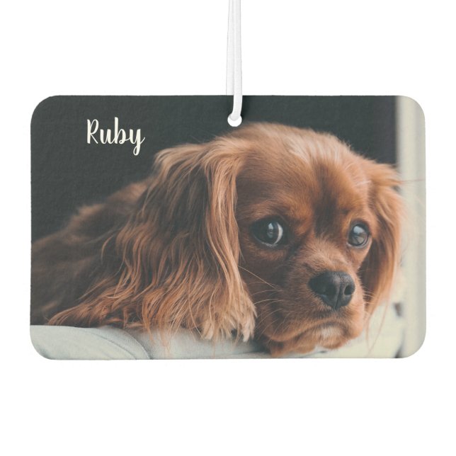 Personalised Ruby Cavalier King Charles Spaniel Car Air Freshener (Front)
