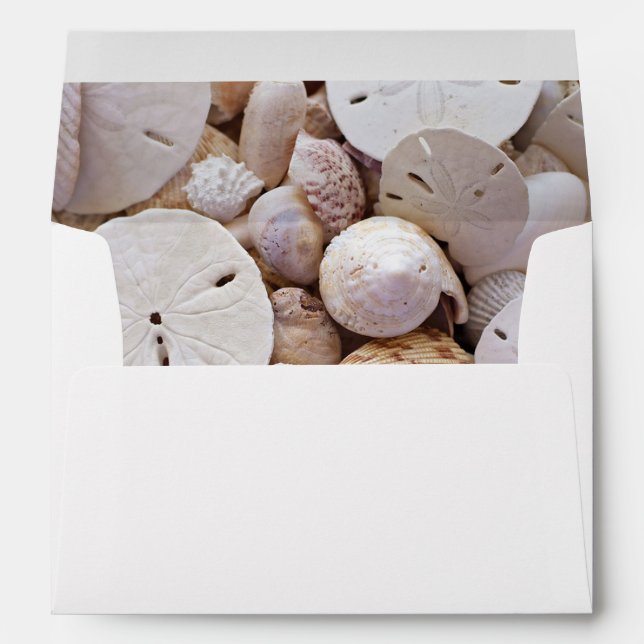 Personalised Seashells and Sand Dollar Envelopes (Back (Bottom))