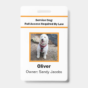 Personalised Service Dog Official Photo ID Modern Badge