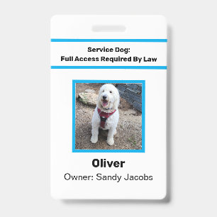 Personalised Service Dog Official Photo ID Simple Badge
