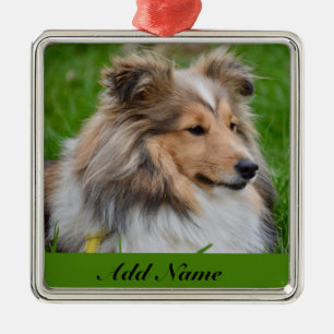Personalised Shetland Sheepdog - Sheltie Dog Metal Ornament