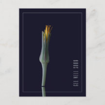 Personalised Simple Elegant Flower Get Well Soon