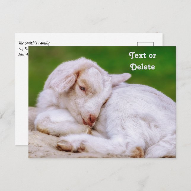 Personalised Sleepy Baby Goat Kid Postcard (Front/Back)