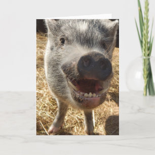 Personalised Smiling Mini Pig Greeting Card, Card
