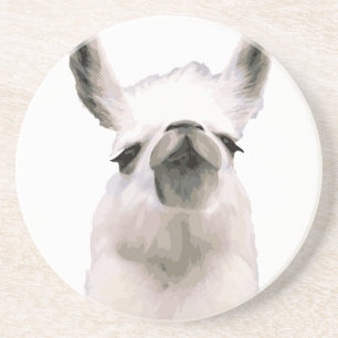 Personalised Snooty Snobby Llama Coaster