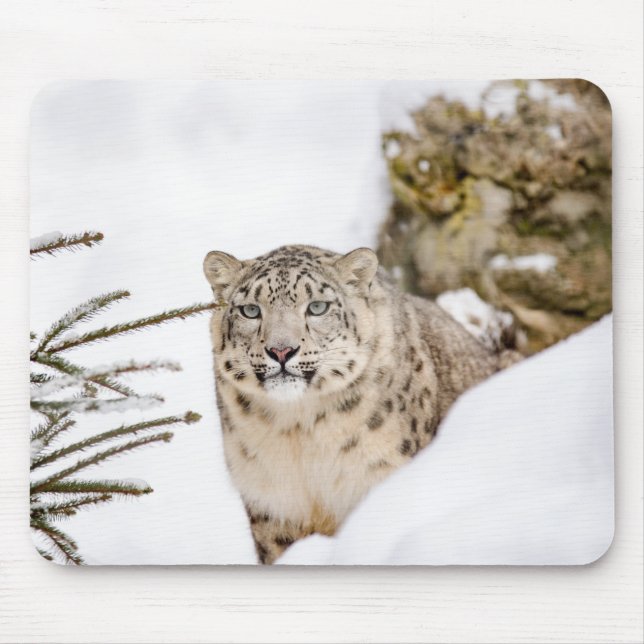 Personalised Snow Leopard Wild Animal Mouse Pad (Front)