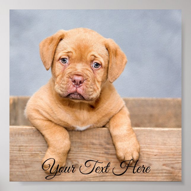 Personalised Square Poster Photo Print. (Front)