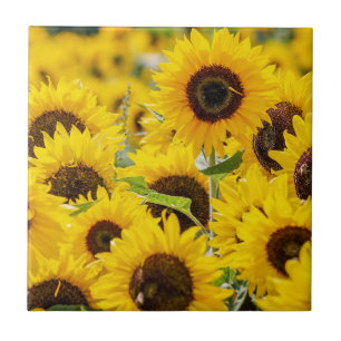 Personalised Sunflower Monogram  Ceramic Tile