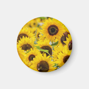 Personalised Sunflower Monogram Magnet