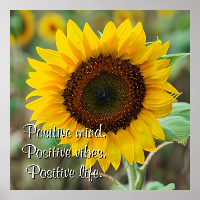 Personalised Sunflower Photo with Quote Poster (Front)