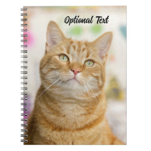 Personalised Sweet Orange Tabby Cat Notebook