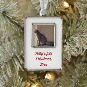 Personalised Tabby Cat First Christmas Ornamen Silver Plated Framed Ornament