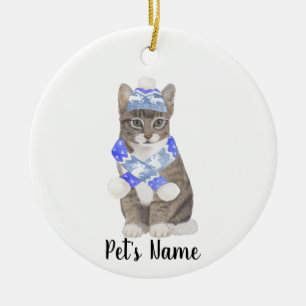 Personalised Tabby Cat (Grey) Blue Ski Hat & Scarf Ceramic Ornament