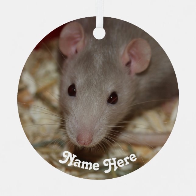 Personalised Tan Beige Fancy Pet Rat Metal Tree Decoration (Front)