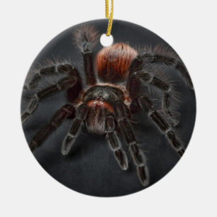 Personalised Tarantula Spider Christmas Ceramic Ornament