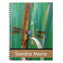 Personalised Teal Eyed Dragonfly cattails