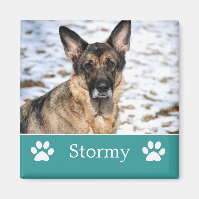 Personalised Teal Pet Photo Magnet (Front)