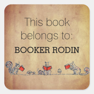 Personalised This Book Belongs to Bookplate Cute Square Sticker
