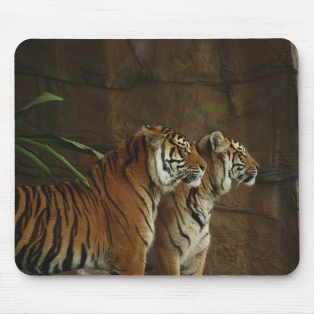 Personalised Tiger Wild Animal Mouse Pad (Front)