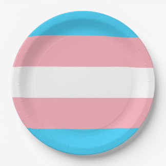 Personalised Transgender Flag Paper Plate