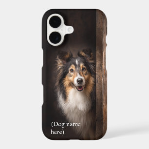 Personalised Tri-Colour Sheltie Portrait