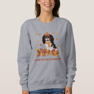 Personalised Tri Coloured Cavalier Spaniel Sweat Sweatshirt