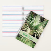 Personalised Tropical Graphic Palm Tree Notebook
