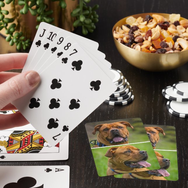 Personalised Two Pet Photo  Playing Cards (In Situ)