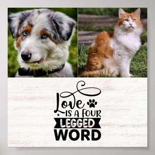 Personalised Two Photo Pet Poster (Front)