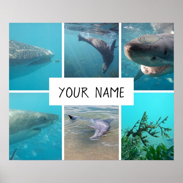 Personalised Underwater Animals Australia Poster (Front)