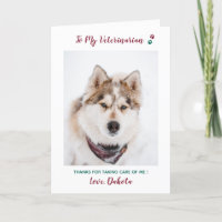 Personalised Veterinarian Pet Care Pet Photo