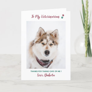 Personalised Veterinarian Pet Care Pet Photo Holiday Card