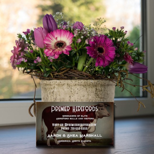 Personalised Vintage Hereford Cow Business Card (Creator Uploaded)