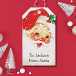 Personalised vintage Santa Claus Christmas holiday Gift Tags<br><div class="desc">Customisable cute vintage Santa Claus Christmas gift tags.</div>