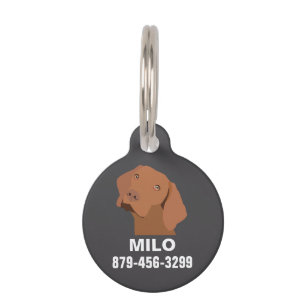 Personalised Vizsla Dog Pet Tag